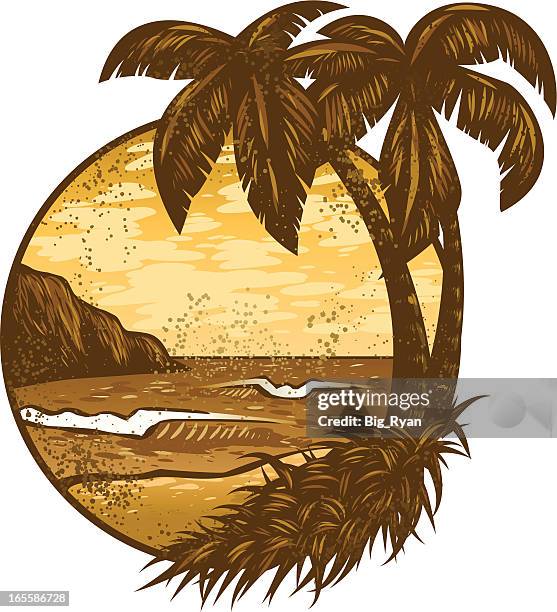 dirty hawaii - big island hawaii islands stock illustrations