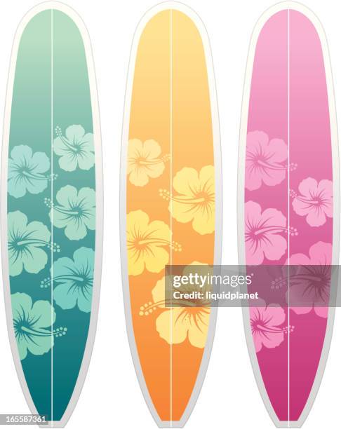 stockillustraties, clipart, cartoons en iconen met surfboards hibiscus - surfboard