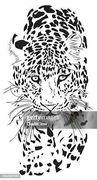 ilustraciones, imágenes clip art, dibujos animados e iconos de stock de leopardo retrato (panthera pardus - piel leopardo