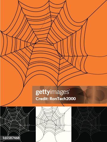 Spider Web Spider Web