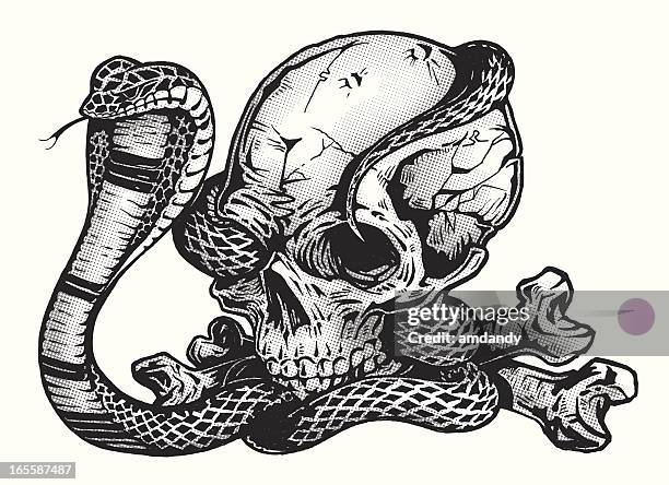 pen & ink  skull with cobra snake - cobra stock illustrations