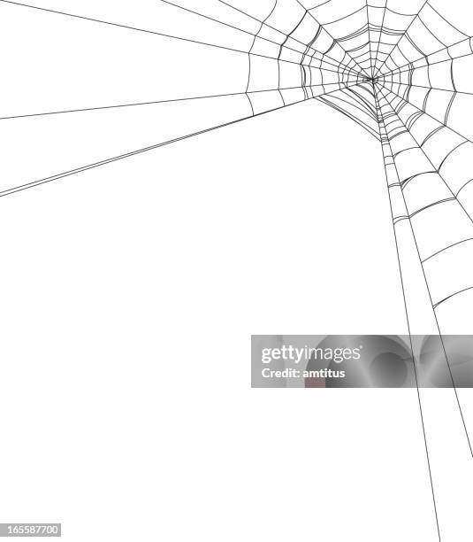 ilustrações de stock, clip art, desenhos animados e ícones de spiderweb - teia de aranha