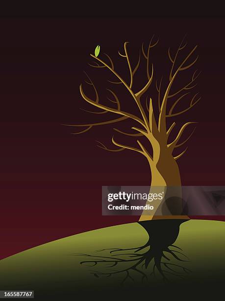 one leaf tree - fallen tree stock illustrations