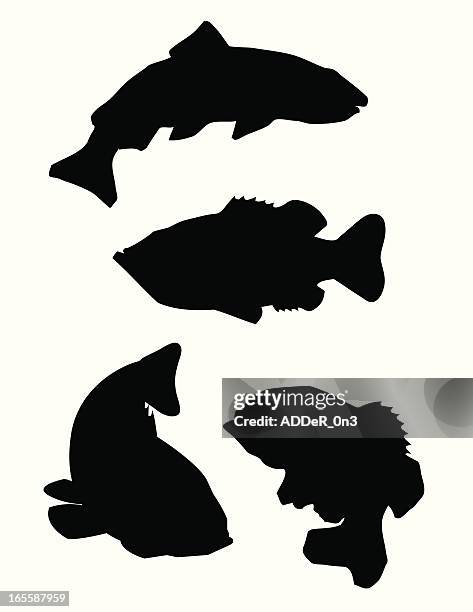 illustrations, cliparts, dessins animés et icônes de silhouette de poissons de sport - mérou