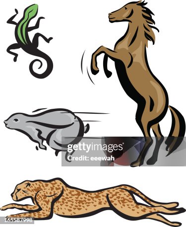 Stylized Animals Stylized Animals