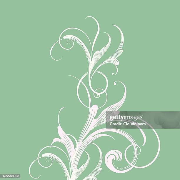 light green scroll background - embellishment 幅插畫檔、美工圖案、卡通及圖標