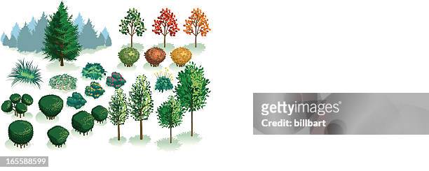 ilustrações, clipart, desenhos animados e ícones de isometric conjunto, folhagem de plantas, árvores e arbustos - arquiteto paisagista