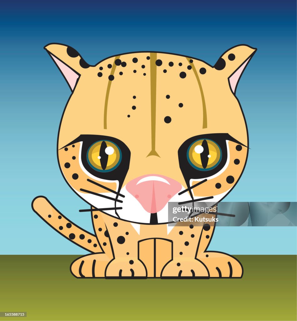 Cheetah cub