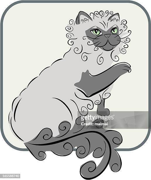 color point cat - himalayan cat stock illustrations