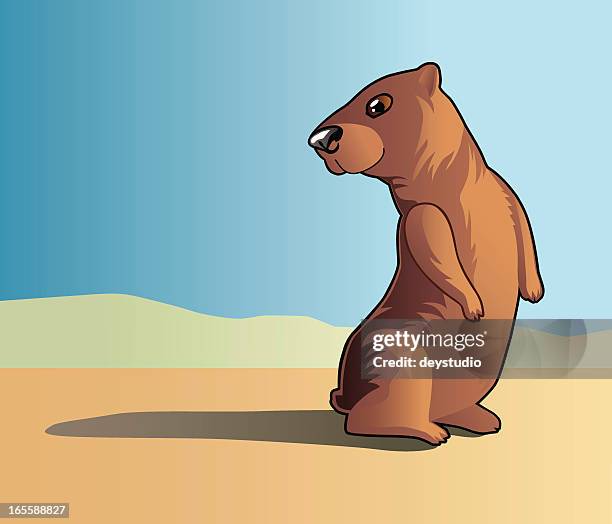 groundhog sees his shadow - groundhog day stock illustrations