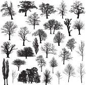 Winter tree silhouette collection