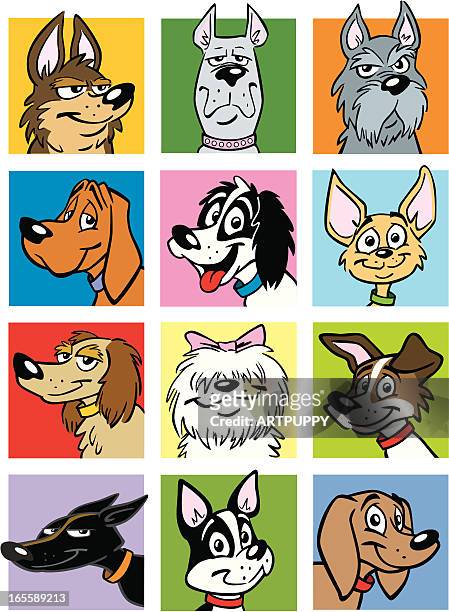ilustrações de stock, clip art, desenhos animados e ícones de mulher cão cabeça com diferentes raças - mixed breed dog