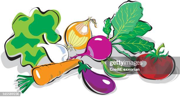 vegetable - bok choy stock illustrations