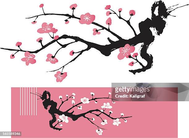 blossom baum-orientalischen stil-malerei - cherry blossom stock-grafiken, -clipart, -cartoons und -symbole