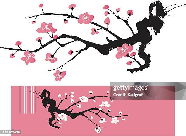 illustrazioni stock, clip art, cartoni animati e icone di tendenza di fiore albero dipinto in stile orientale - fiore di pesco