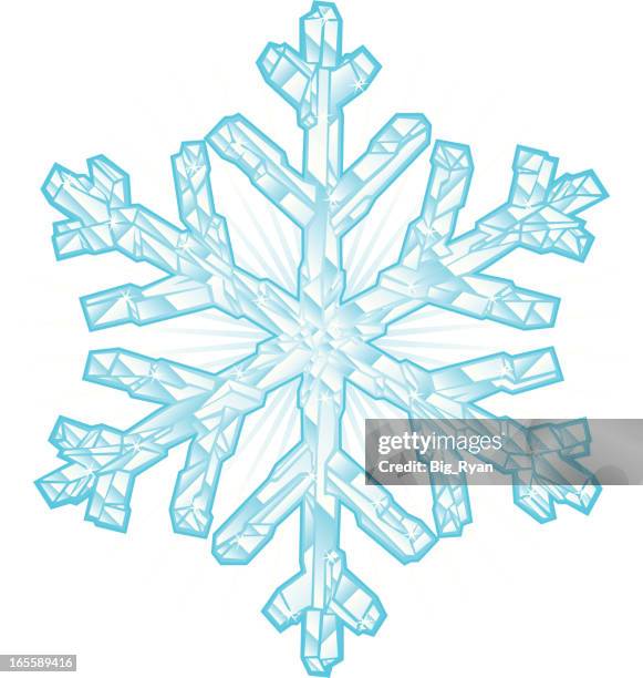 illustrations, cliparts, dessins animés et icônes de flocon de cristal - ice crystal