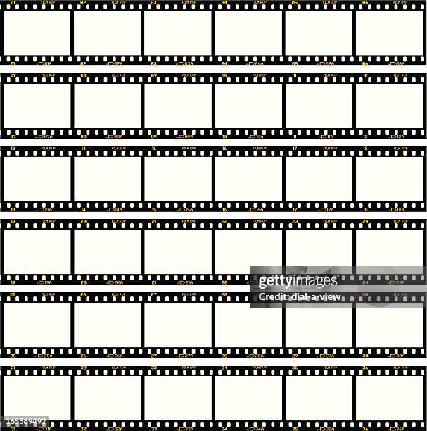 contact sheet - camera film stock illustrations