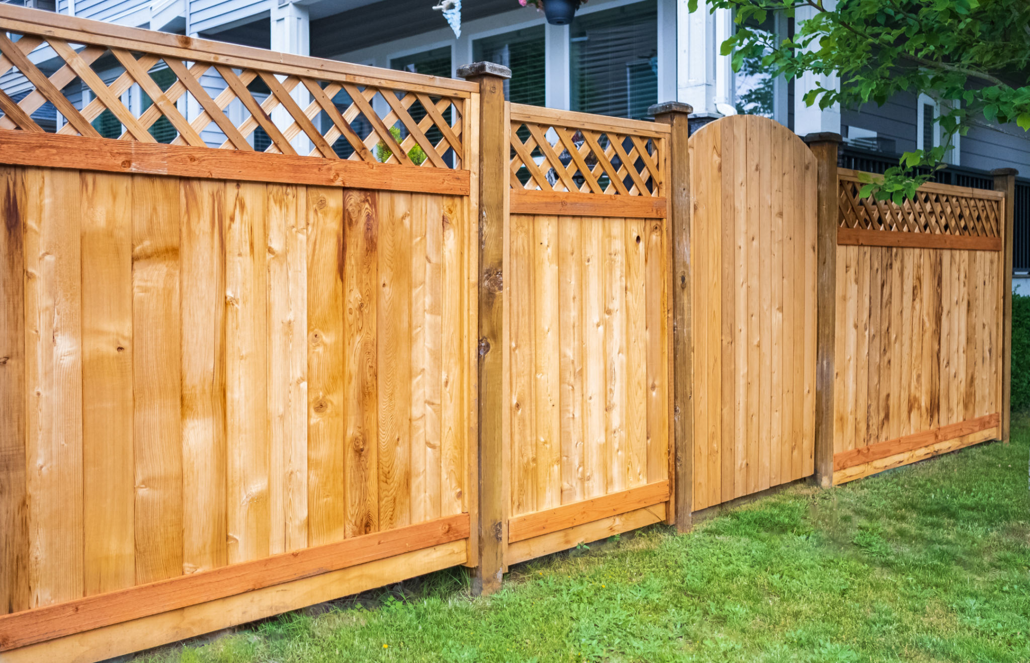 privacy fence