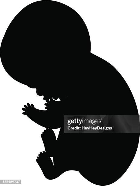 fetus - fetus silhouette stock illustrations