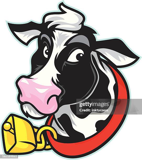 dairy holstein - holstein friesian cattle stock illustrations