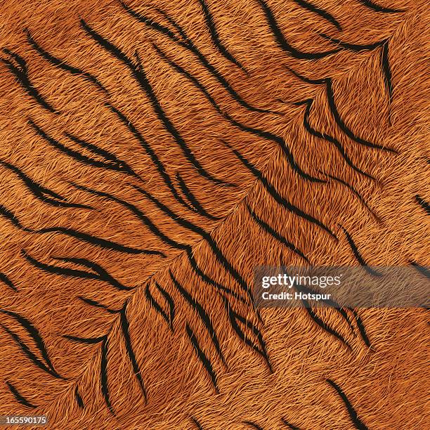 tiger fur (seamless tile) - tiger roar stock illustrations