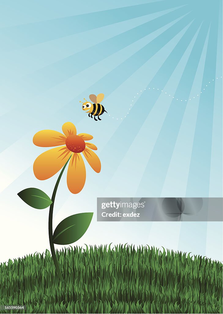 Flower and bee