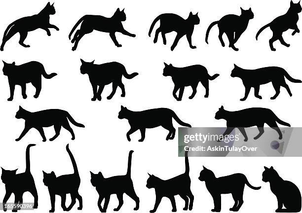 stockillustraties, clipart, cartoons en iconen met cats behavior - groep dieren