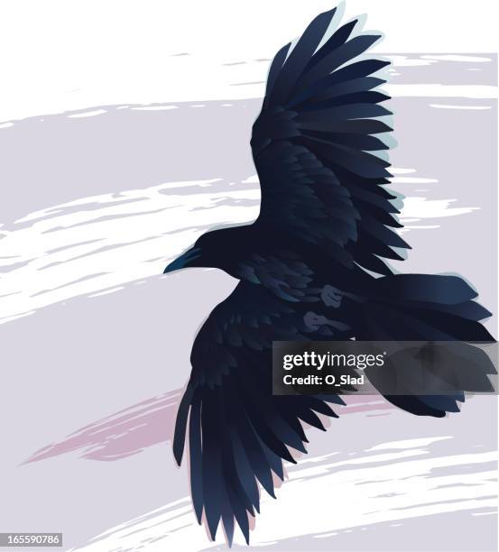Patterned Raven In Flight Raven In Flight Photos and Premium High Res Pictures - Getty Images