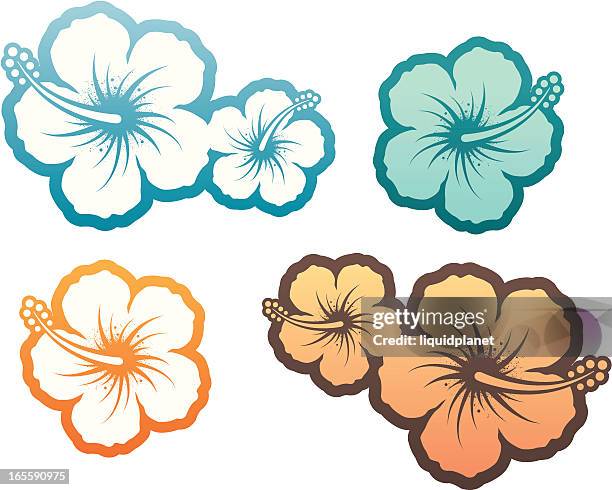 ilustraciones, imágenes clip art, dibujos animados e iconos de stock de hibiscus elemento de diseño - isla grande de hawái islas de hawái