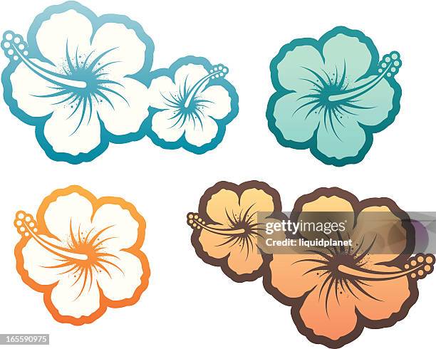 hibiscus design element - hibiscus stock illustrations
