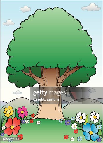 Tree Tree