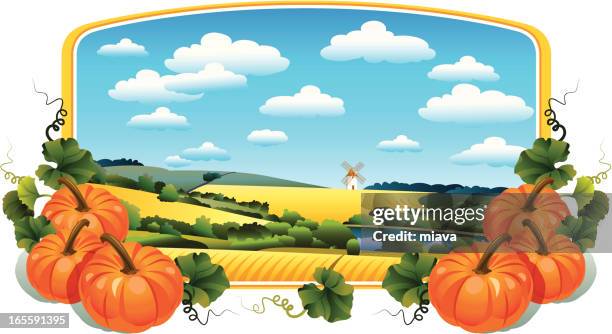rural landscape and pumpkins - harvesting stock illustrations