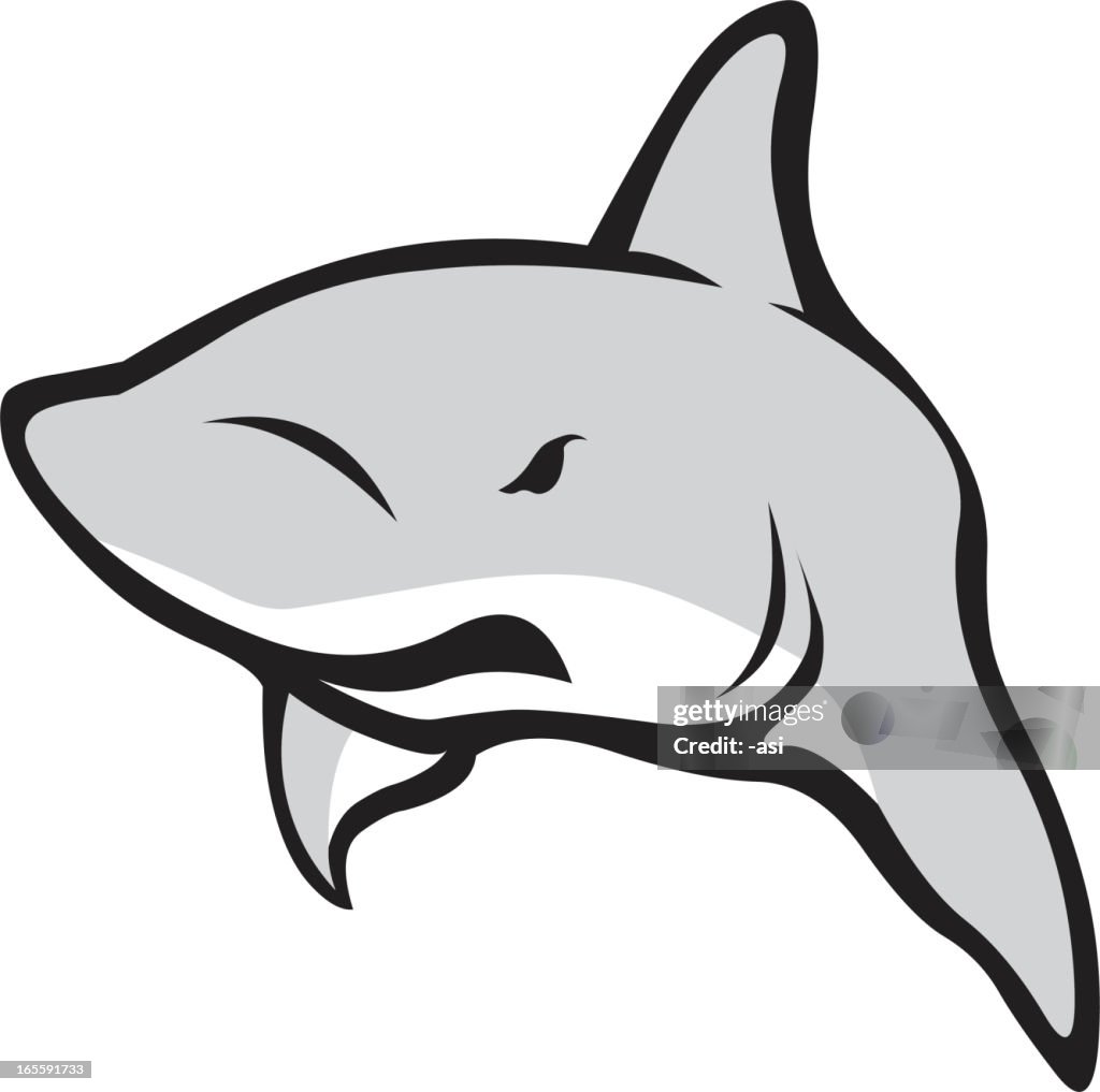 Shark