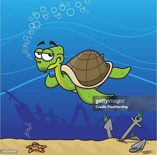 ilustraciones, imágenes clip art, dibujos animados e iconos de stock de tortuga de mar - naufragio