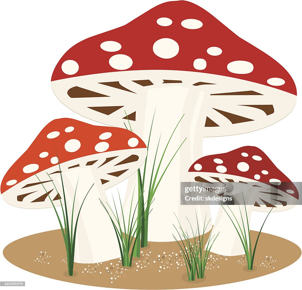 Stylized Fly Agaric Mushrooms Design