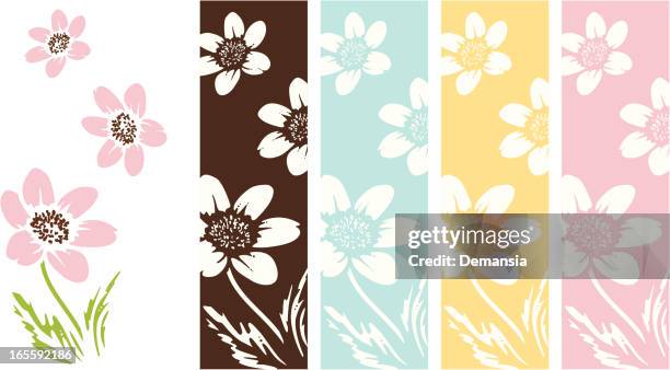 anemone flowers - ranunculus stock illustrations