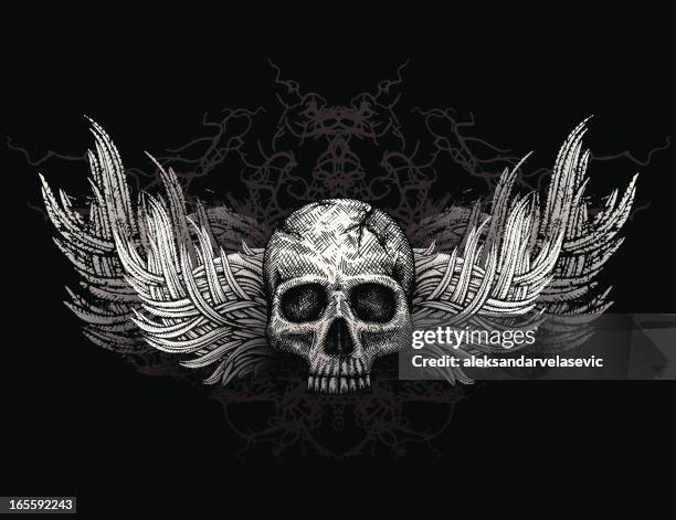 illustrations, cliparts, dessins animés et icônes de motif de crâne avec ailes de poulet - crâne humain