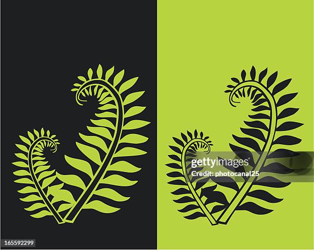 ferns - frond stock illustrations