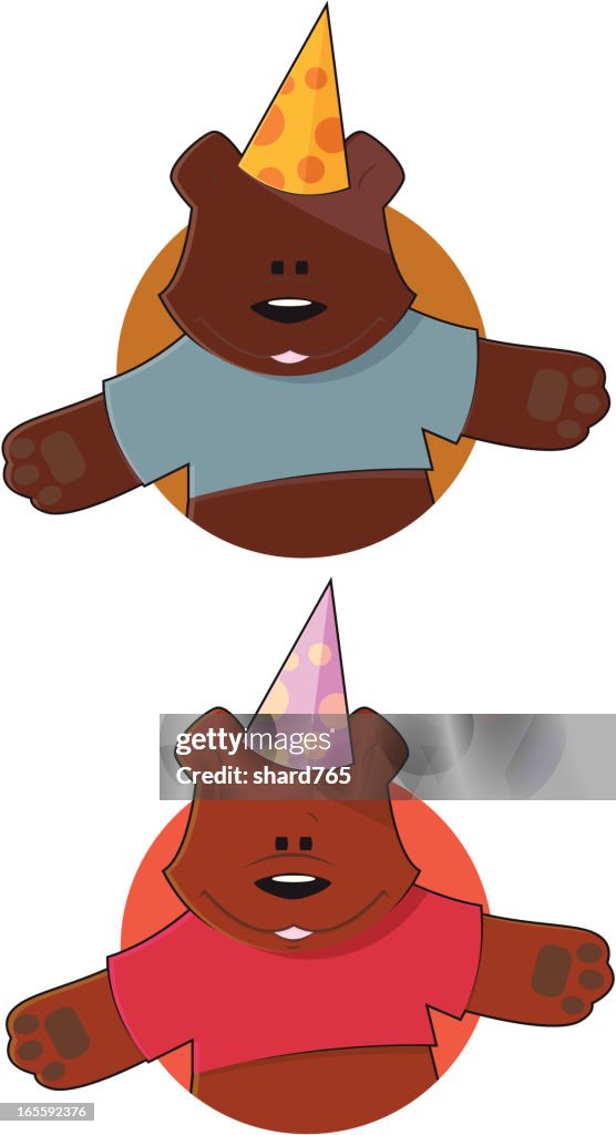 Boy and Girl Birthday Bear Icons