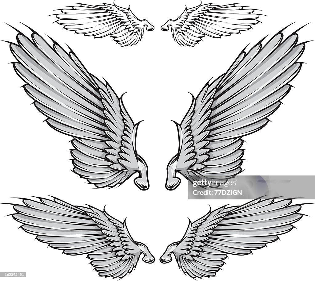 Wing Side Vector Vector Wing High-Res Vector Graphic - Getty Images