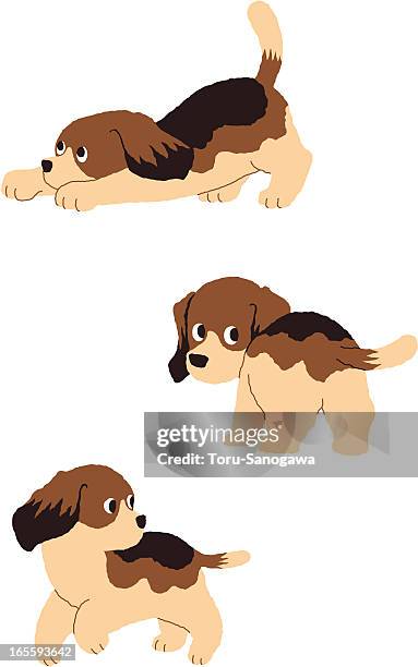 beagle - beagle stock illustrations