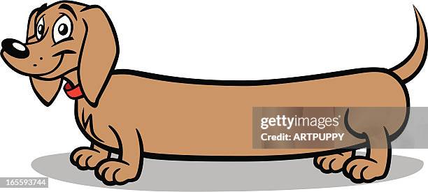vienna dog - dachshund stock illustrations