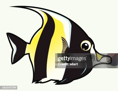 Tropical Fish Tropical Fish