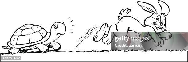 Rabbit And Turtle High-Res Vector Graphic - Getty Images