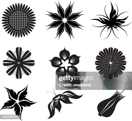 Vector elements for floral pattern Vector elements for floral pattern
