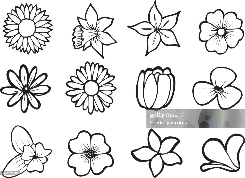 Flower Line Art Premium Vector | Free Vector Line Art And Hand Drawing