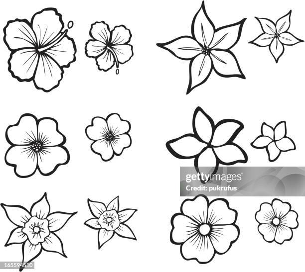 illustrations, cliparts, dessins animés et icônes de fleur tropicale ligne art - fleur tropicale