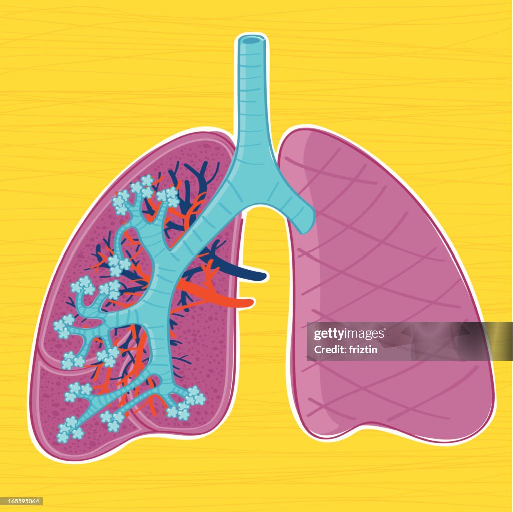 Mão desenhada anatomia do Pulmão humano