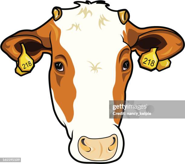 cow - wildlife tracking tag stock illustrations