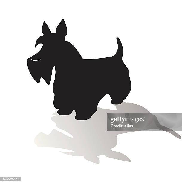 illustrations, cliparts, dessins animés et icônes de terrier d'écosse - terrier